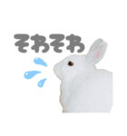 もちさんのイロイロミックス（個別スタンプ：22）