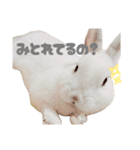 もちさんのイロイロミックス（個別スタンプ：25）