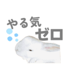 もちさんのイロイロミックス（個別スタンプ：27）