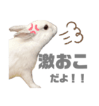 もちさんのイロイロミックス（個別スタンプ：28）
