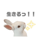 もちさんのイロイロミックス（個別スタンプ：32）