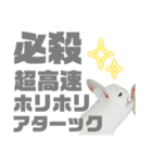 もちさんのイロイロミックス（個別スタンプ：36）