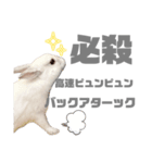 もちさんのイロイロミックス（個別スタンプ：37）
