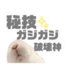 もちさんのイロイロミックス（個別スタンプ：39）