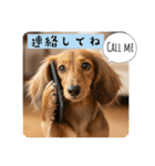 ミニチュアダックスの日常☕️②（個別スタンプ：9）