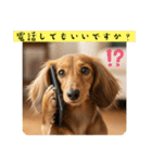 ミニチュアダックスの日常☕️②（個別スタンプ：10）