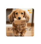 ミニチュアダックスの日常☕️②（個別スタンプ：12）