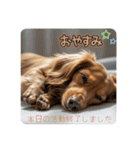 ミニチュアダックスの日常☕️②（個別スタンプ：13）