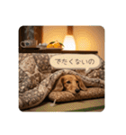 ミニチュアダックスの日常☕️②（個別スタンプ：16）