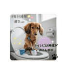 ミニチュアダックスの日常☕️②（個別スタンプ：24）