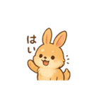ポメラニアン足すうさぎ割る2。2Dと3D便利（個別スタンプ：34）