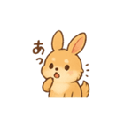ポメラニアン足すうさぎ割る2。2Dと3D便利（個別スタンプ：36）