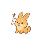 ポメラニアン足すうさぎ割る2。2Dと3D便利（個別スタンプ：39）