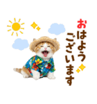 サイベリアン＆マンチカン☆でか文字夏（個別スタンプ：1）
