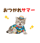 サイベリアン＆マンチカン☆でか文字夏（個別スタンプ：4）