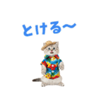 サイベリアン＆マンチカン☆でか文字夏（個別スタンプ：11）