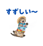 サイベリアン＆マンチカン☆でか文字夏（個別スタンプ：12）