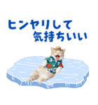 サイベリアン＆マンチカン☆でか文字夏（個別スタンプ：13）