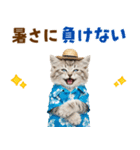 サイベリアン＆マンチカン☆でか文字夏（個別スタンプ：15）