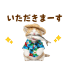 サイベリアン＆マンチカン☆でか文字夏（個別スタンプ：22）