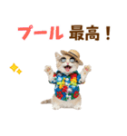 サイベリアン＆マンチカン☆でか文字夏（個別スタンプ：27）