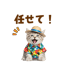 サイベリアン＆マンチカン☆でか文字夏（個別スタンプ：34）