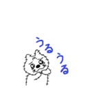 サボテン猫 ぶちゃ6（個別スタンプ：16）
