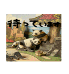 ペーパークラフト風パンダ（個別スタンプ：29）