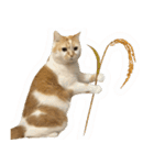 デカCAT極（個別スタンプ：8）