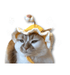 デカCAT（個別スタンプ：13）