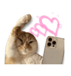 デカCAT（個別スタンプ：26）