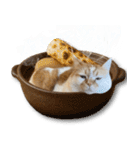 デカCAT（個別スタンプ：29）