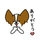 パピヨンのスタンプだよ3（個別スタンプ：5）