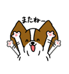 パピヨンのスタンプだよ3（個別スタンプ：6）