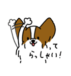 パピヨンのスタンプだよ3（個別スタンプ：7）