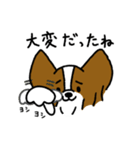 パピヨンのスタンプだよ3（個別スタンプ：10）