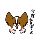 パピヨンのスタンプだよ3（個別スタンプ：17）