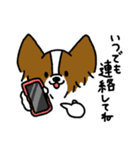 パピヨンのスタンプだよ3（個別スタンプ：31）