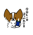 パピヨンのスタンプだよ3（個別スタンプ：40）