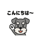 ほのぼのシュナウザーの日常スタンプ（個別スタンプ：1）