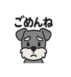ほのぼのシュナウザーの日常スタンプ（個別スタンプ：2）