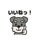 ほのぼのシュナウザーの日常スタンプ（個別スタンプ：3）