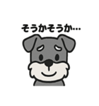 ほのぼのシュナウザーの日常スタンプ（個別スタンプ：4）