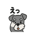 ほのぼのシュナウザーの日常スタンプ（個別スタンプ：7）