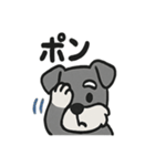 ほのぼのシュナウザーの日常スタンプ（個別スタンプ：8）