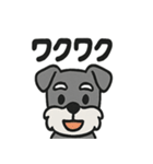 ほのぼのシュナウザーの日常スタンプ（個別スタンプ：9）