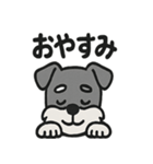 ほのぼのシュナウザーの日常スタンプ（個別スタンプ：10）