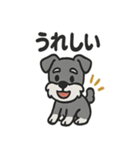ほのぼのシュナウザーの日常スタンプ（個別スタンプ：16）