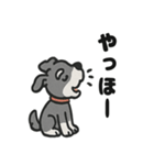 ほのぼのシュナウザーの日常スタンプ（個別スタンプ：18）