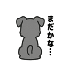 ほのぼのシュナウザーの日常スタンプ（個別スタンプ：20）
